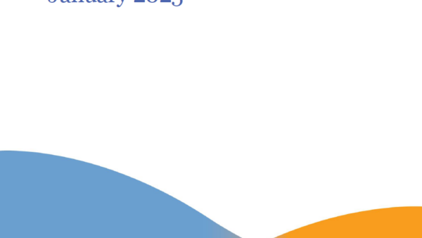 DEIOC Policies and Procedures Featured Image