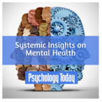 systemic insights screengrab 2